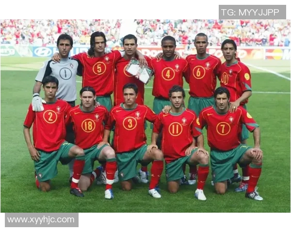 足球明星的传奇故事动画解说带你领略绿茵场上的英雄风采